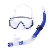 Schnorchelset Schnorcheln Set mit Schnorchel und Taucherbrille,wasserdichte Tauchmaske Anti-Fog Anti-Leck aus Gehärtetem Glas,mit Premium Dry Schnorchel für Erwachsene