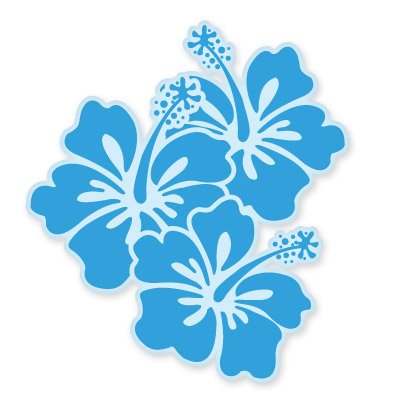 Amazon.co.jp: ハイビスカス柄花ブルー車ビニールステッカー – 選択