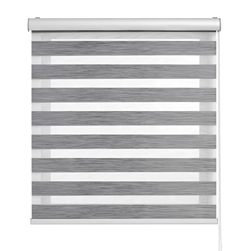 BLINDECOR | Estores Enrollables Noche y Día | Galería Metálica | Fácil Instalación a Pared y Techo | Modelo Luxury Premium | Color Antracita | Medidas 200x250 cm | Tamaño de la Tela 197 x 245 cm