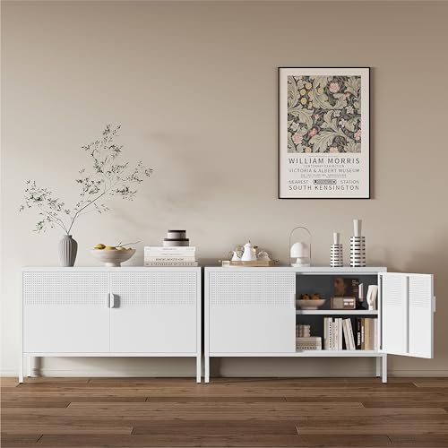 Image of Metal Storage Cabinet,2 Door TV Stand, Metal Mesh Accent Cabinet