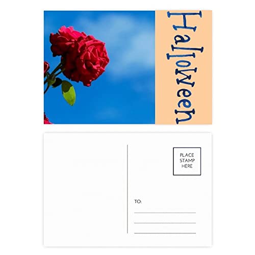 Cartes d'Halloween roses rouges pour invitations de table et correspondance
