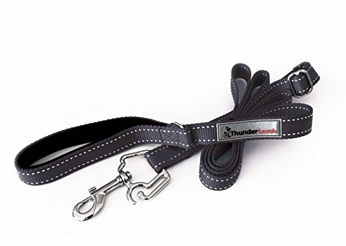 Thunder Leash, Small, black