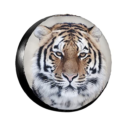 Tiger ό^CveN^[ XyA^CJo[ RV gbN g[[ Lp[p ^Ca 24~33C`