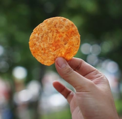 image for TEMPEHSTATION Tempeh Protein Chips | Assorted Tempeh Chips Pack Of 5 x