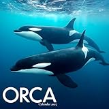 Orcas Calendar 2025: A Year of...