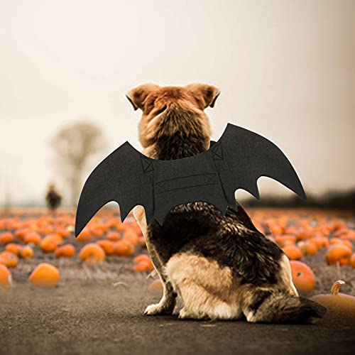 RANYPET Hund Fledermaus Kostüme Halloween Haustier Kostüm Fledermausflügel Cosplay Hundekostüm Katzenkostüm für Party