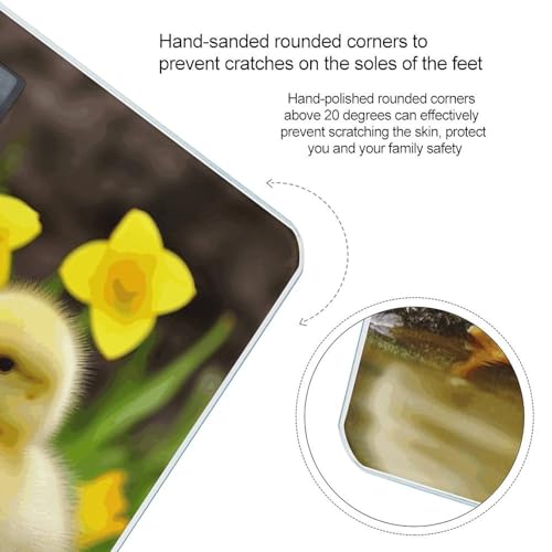 Báscula Digital Cute Ducks para Baño 400 lb miniatura 4