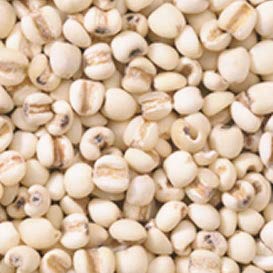 ͂Ɣ/͂Ƃނ/ngM/ng/NCj i^CYj 10kg x 2 i1P[Xj