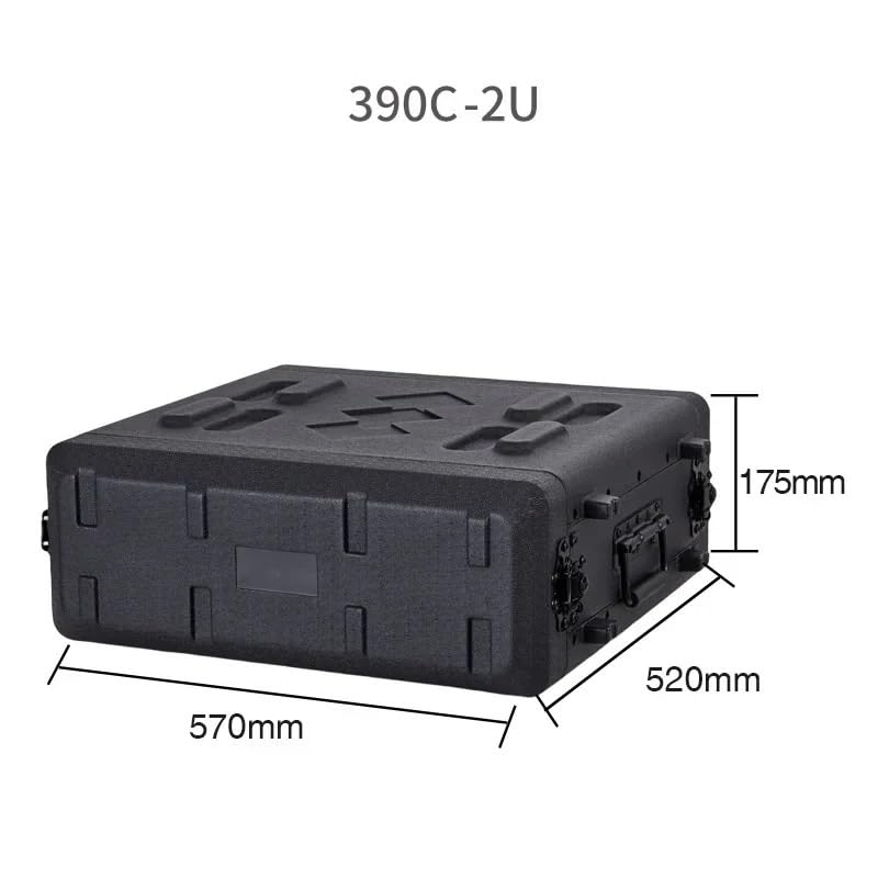 Compatibile con l'organizzatore di cassette portautensili portatili professionali in plastica PE, custodia antiurto for audio(390C-2U)