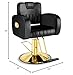 Baasha Black & Gold Reclining Salon Chair - All Purpose Hydraulic Barber Chair with Removable Headrest - Comfortable Styling Chair for Makeup, Lash, Tattoo, Braiding & Shaving, 440 lbs Cap.