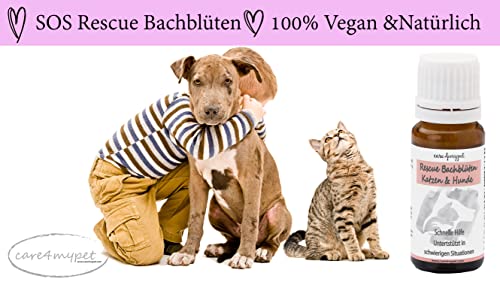 care4mpet Bachblüten Hunde und Katzen. Angstzustände,Nervosität, Reisen oder intensives Training kann Sich positiv auf Negative Gemütszustand des Tieres auswirken.