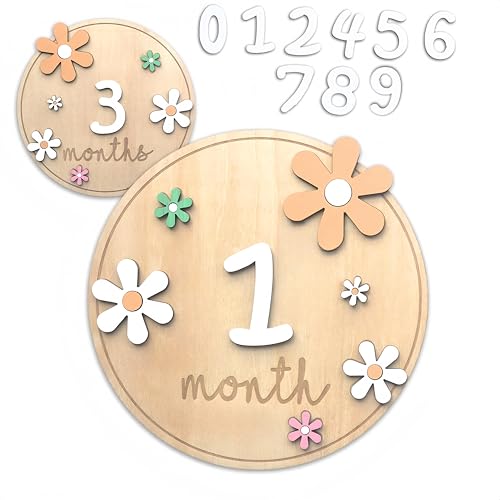 Monthly Baby Milestone Wooden Circles Cards Newborn Photography Props Girl Baby Announcement Signs Milestone Cards 1-12 Months Gift for Newborn Milestone Marker Wooden Discs (circle-02)