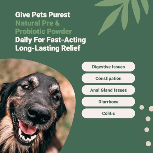 Pets Purest Digestive Prebiotic Probiotic for Dogs, Cats & Pet - 100% Natural Fibre Digestion Enzymes Immune Support Supplement for Gut Health and Healthy Stools - Image 3