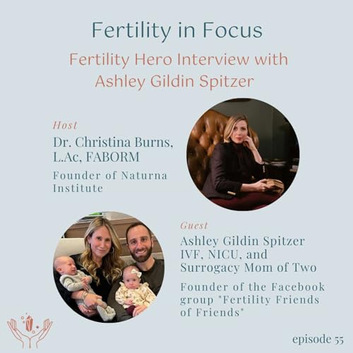 Fertility Hero Interview with Ashley Gilden Spitzer: Fertility Tips, IVF Success, and Surrogacy Insights Podcast Por  arte de portada
