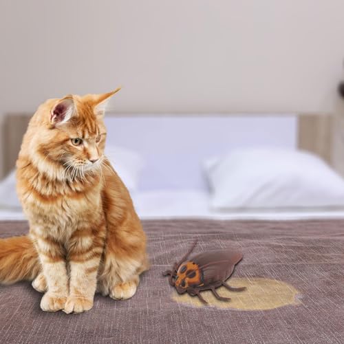 Jouet chat électrique avec détection d'obstacle et train interactif animaux - 5