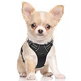Tamaño - Circunferencia del Cuello: 33-48cm; Circunferencia del Pecho: 33-61cm. Razas Recomendadas: perros pequeños, como el Chihuahua, Havanese, Corgi, Pug, Puggle, Terrier, etc. ¡Deje que su perro se destaque con este clásico arnés Negro! Mide el cuello y el pecho de tu perro antes de comprar