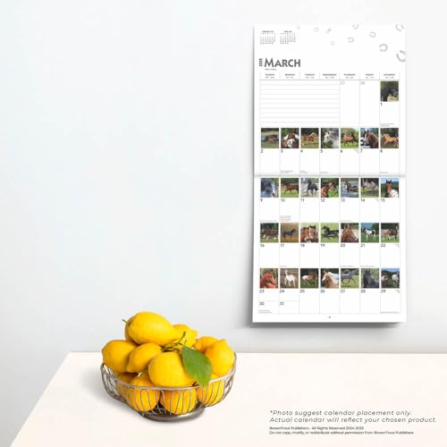 Browntrout 7716-5 365 Days Of Horses 2025 12 X 24 Inch Monthly Square Wall Calendar Plastic-Free thumb #4