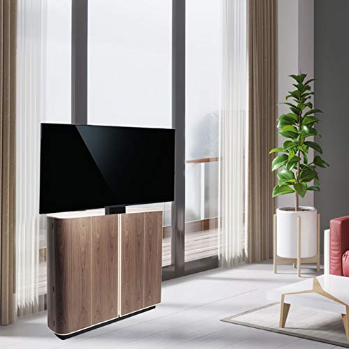 Vevor Motorized Tv Lift Stroke Length 20 Inches Motorized Tv Mount Fit For 28-32 Inch Tv Lift With Remote Control Height Adjustable 30-50 Inch,Load Capacity 132 Lbs #TOP6