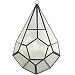 Rustic Geometric Glass Terrarium - Indoor / Outdoor Industrial Finish (Glass, 10 Inch Tear Drop)