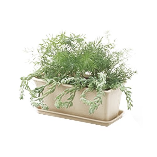 Richell Stitch Plate, Type 42, Beige