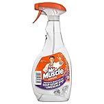 Mr Muscle Shower Spray 500ml