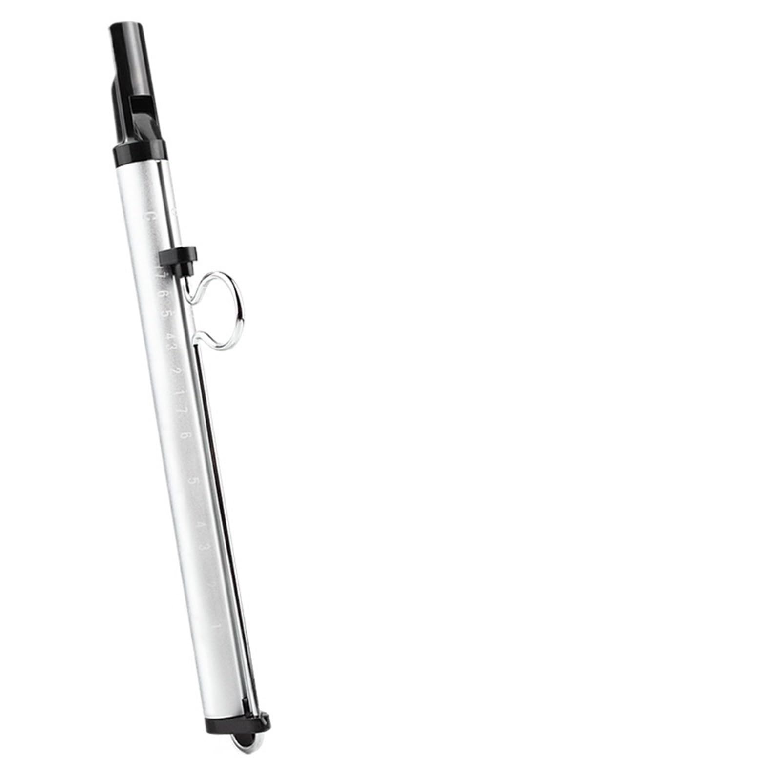 Flauto A Pistone Flauto a scala bicolore scorrevole Fischio ad aria compressa Tema Pull-Flauto Principiante adulto Strumento Educazione Musicale(Silver)