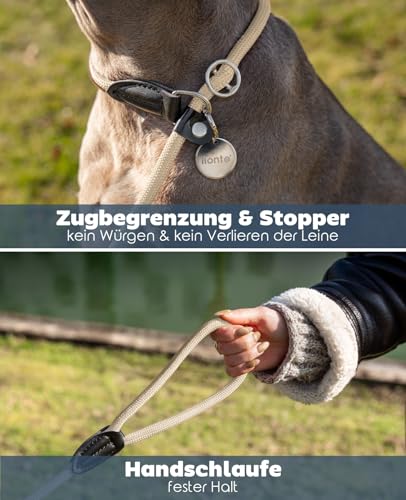 lionto Retrieverleine robust und wetterfest für Hunde Aller Größen, schnell anzulegende Hundeleine und Halsband in Einem, 170 cm, fellschonende Führleine mit integriertem Zugstopp, vegan, beige