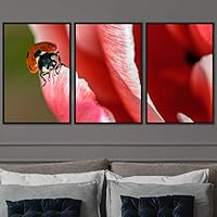 3 Piece Framed Canvas Wall Art Colorful Butterfly Insects Canvas Prints Home Artwork Decoration for Living Room,Bedroom - 16