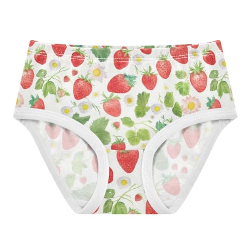 Wusikd Watercolor Strawberry Girls' Underwear Cotton Girls Briefs Soft Toddler Underwear 2T