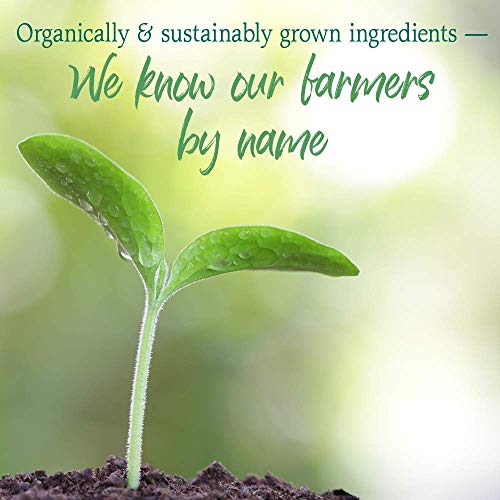 Garden Of Life Raw Organic Perfect Food Green Superfood Juiced Greens Powder Original Stevi Free, Non-Gmo, Gluten Free, Dietary Supplement, 60 Servings, 14.6 Oz #TOP6