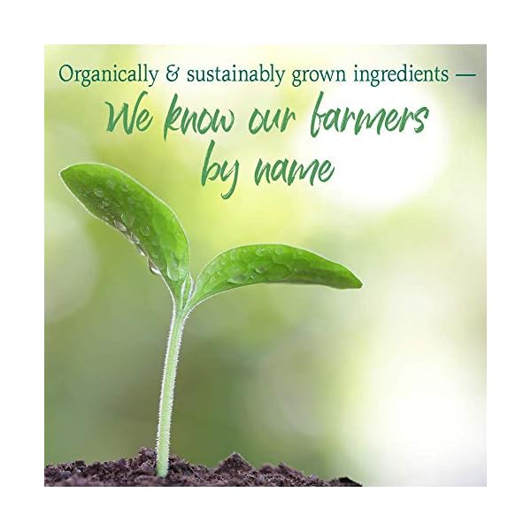 Garden-of-Life-Raw-Organic-Perfect-Food-Green-Superfood-Juiced-Greens-Powder-Original-Stevia-Free-30-Servings-Non-GMO-Gluten-Free-Whole-Food-Dietary-Supplement-Alkalize-Detoxify-Energize-73-Oz Garden of Life Raw Organic Perfect Food Green Superfood Juiced Greens Powder - Original Stevia-Free, 30 Servings, Non-GMO, Gluten Free Whole Food Dietary Supplement, Alkalize, Detoxify, Energize