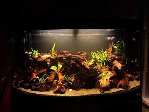 View 7