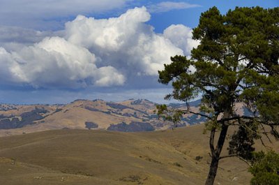 In my Back Yard HUGE Fine Art Photograph By Michael Verlangieri