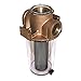 GROCO 1/2 in. Raw Water Strainer ARG-500
