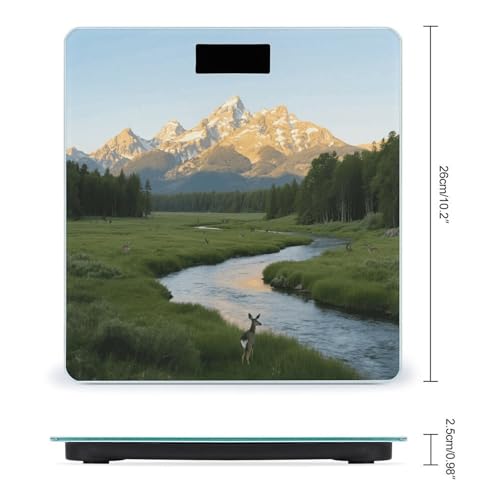 Báscula Digital de Baño con Pantalla LCD y Vidrio Templado miniatura 2