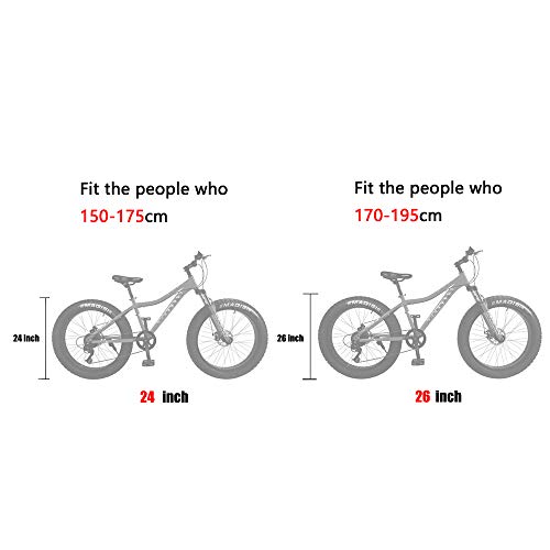 saigula fat tire bicycle