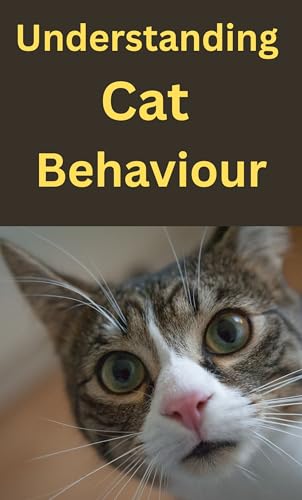 Understanding Cat Behaviour: How to Understand Meows, Body Language, and
