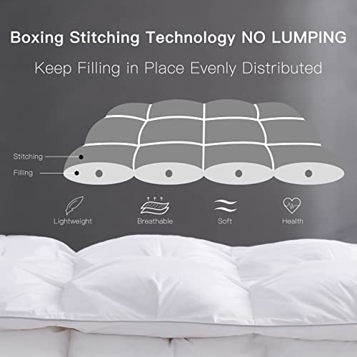 Alanzimo Goose Feathers Down Comforter Duvet Inserts Queen Size All Season - Luxury 100% Natural Cotton High Thread Count 750 Fill Power White Comforter With 8 Tabs - Pinch Pleat Design #TOP1