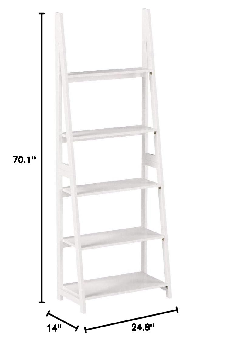 https://m.media-amazon.com/images/I/41i99L4dOwL.jpg