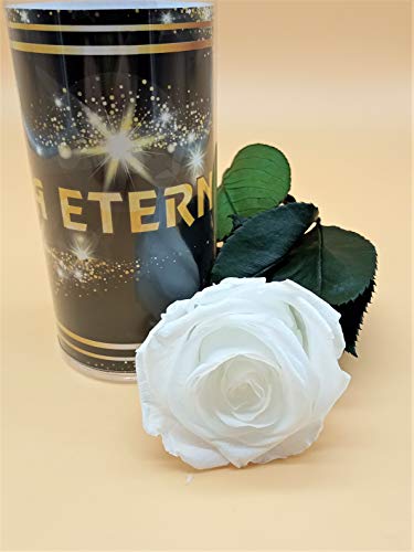 Almaflor Rosa eterna Blanca Extra Extra. Gratis TU ENVÍO Prime. Rosa preservada Blanca Cabeza Extra. Rosa preservada Blanca Extra. Hecho en España Cover
