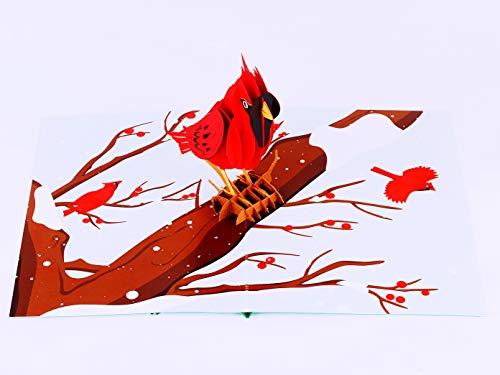 Liif Cardinal Bird 3D Greeting Pop Up Card, Winter, Christmas, Thanksgiving, Holiday Card, Fall, Xmas | With Message Note & Envelop | Size 7 X 5 #TOP3