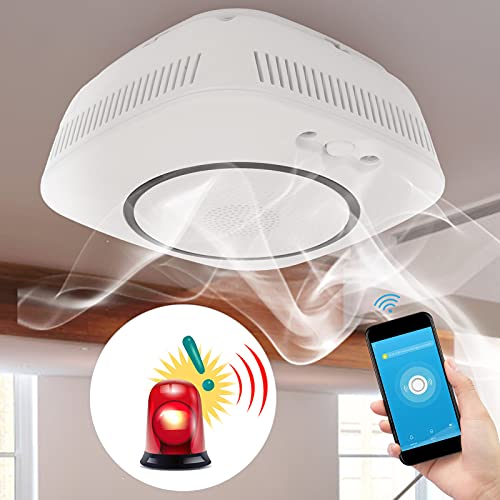 Alarme de Vazamento de Gás, Alarme de Vazamento de Gás de Carvão 85Db 110-230V para Detectar Vazamen
