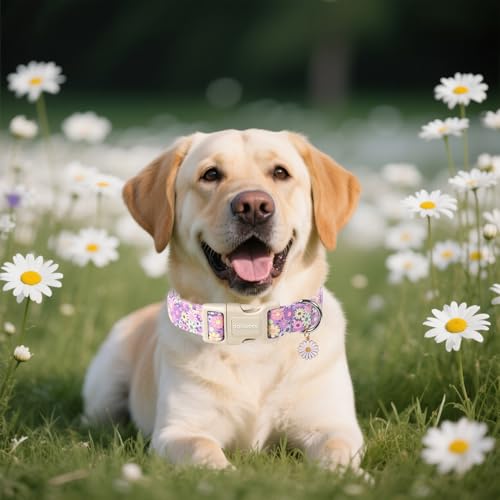 DOGWONG Flower Dog Collar, Girl Daisy Dog Collar Durable Ice Cream Pet Dog Collars Cute Summer Beach Puppy Necklace for Small Medium Large Dogs - Image 4
