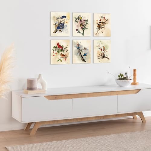 Image of CHDITB Vintage Bird Framed Canvas Wall Art, Spring Birds Illustration, Nature Wildlife Wall Decor, Botanical Bird Poster, Retro Watercolor Art Prints For Living Room Bedroom Kitchen Decor 8 inchX10 inchx6
