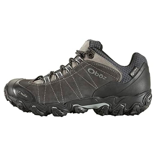Oboz Men's Bridger Low B-Dry Waterproof Hiking Shoe, Dark Shadow, 10.5 Medium