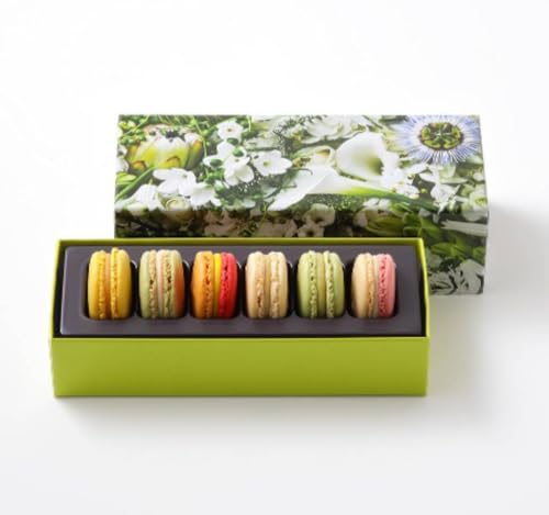 PIERRE HERME PARIS ysG[EGEpz }J 6l(t[o[͋G߂ɂقȂ܂) َq yY Mtg  TOKYO zCgf[