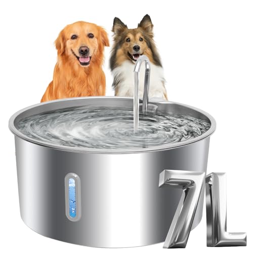Dog Water Fountains