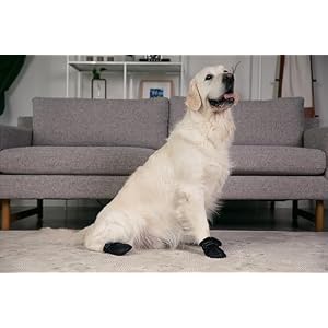 Premium Dog Shoes for Hiking, Snow, and Rain - Protective Dog Boots and Booties for Large and Medium Size Dogs - Durable Outdoor Dog Shoes (Size 6 (2.5-2.7" paw Width) Large) Premium Dog Shoes for Hiking Snow and Rain Protective Dog Boots and Booties for Large and Medium Size Dogs Durable Outdoor Dog Shoes Size 6 25 27 paw Width Large