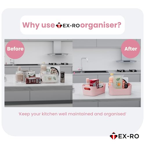 Image of TEX-RO Storage Box and Organiser | Storage Organiser | Organizer Storage Box for Home & Kitchen | Durable Storage Basket & Plastic Basket for Storage (Pack of 2, Light Pink)