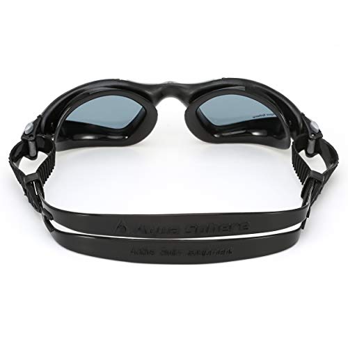 Aqua Sphere Kayenne Swim Goggles With Smoke Lens (Black/Silver) #TOP4